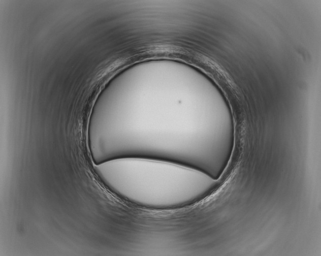 X0000111640825200907171036