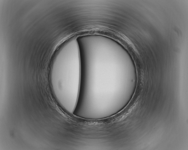X0000111640826200907171036