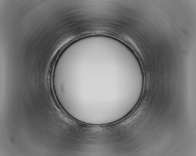 X0000111640827200907171036