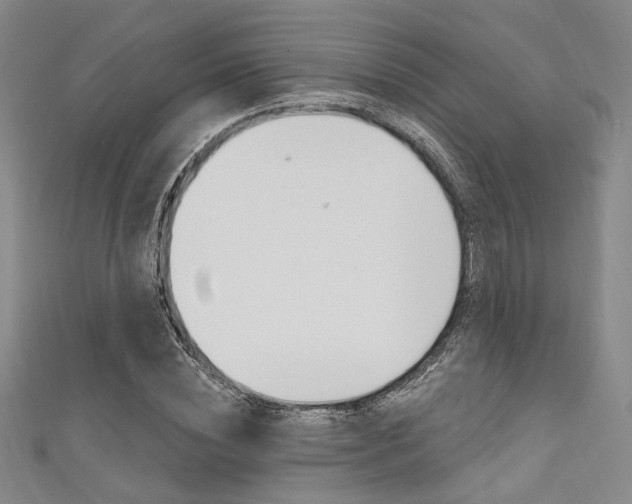 X0000111640828200907171036