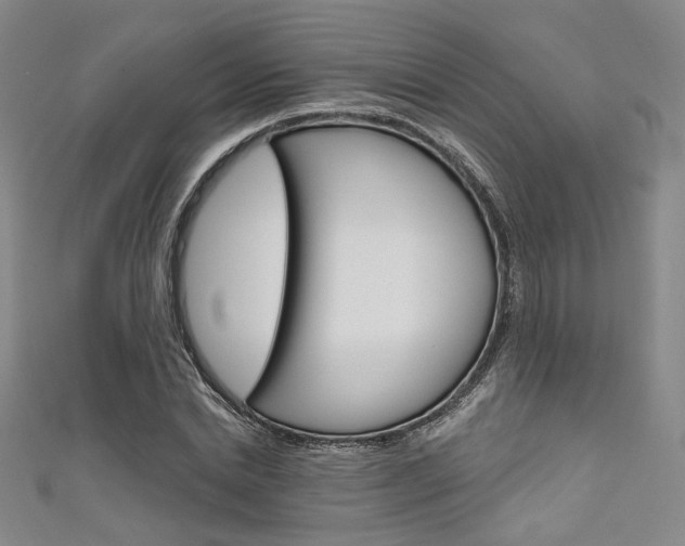 X0000111640830200907171036