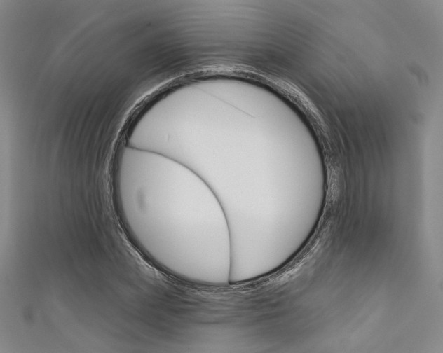 X0000111640831200907171036