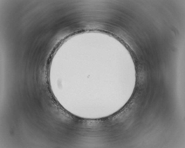X0000111640832200907171036