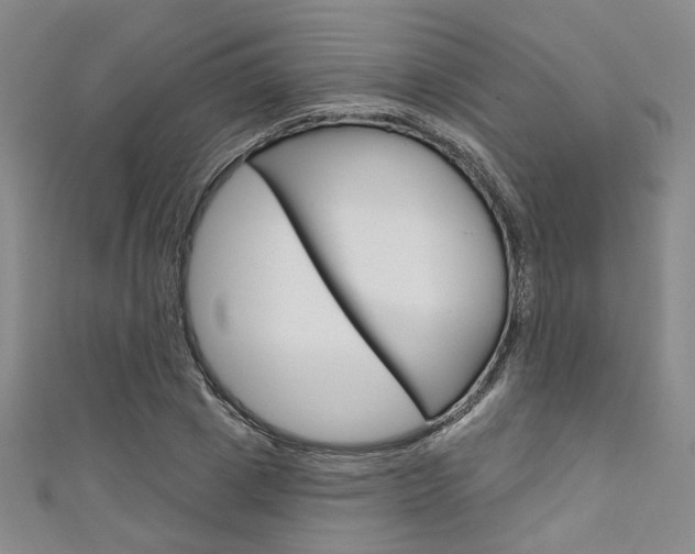 X0000111640833200907171036