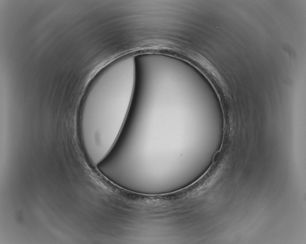X0000111640834200907171036