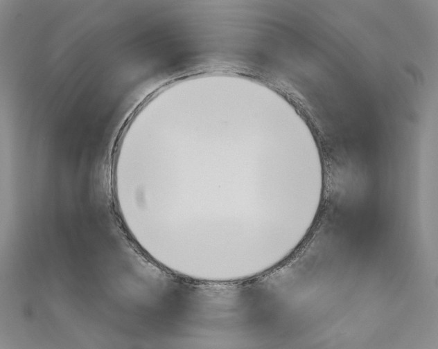 X0000111640836200907171036