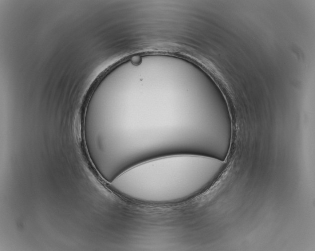 X0000111640838200907171036