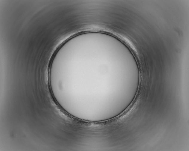 X0000111640839200907171036