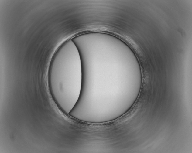 X0000111640840200907171036