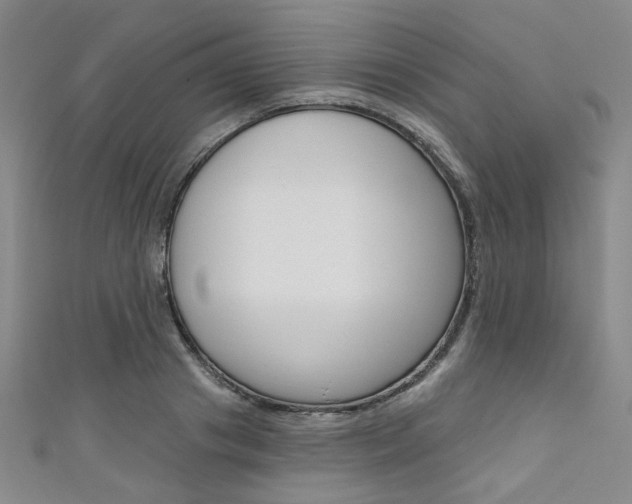 X0000111640841200907171036