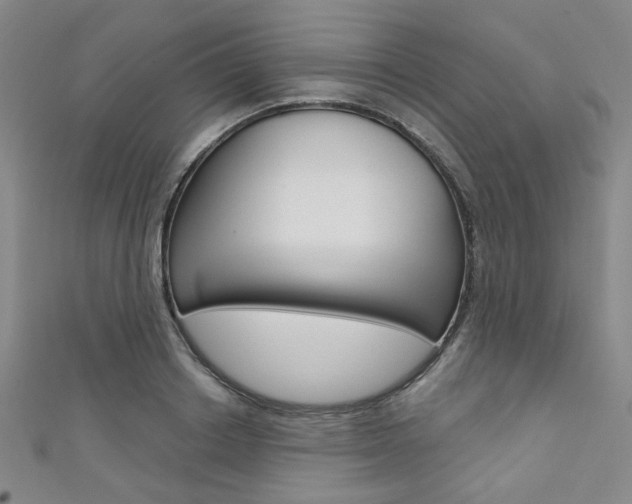 X0000111640842200907171036