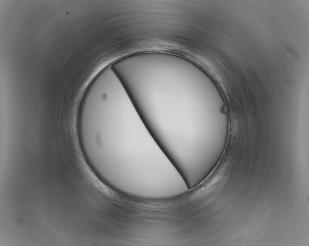 X0000111640843200907171036