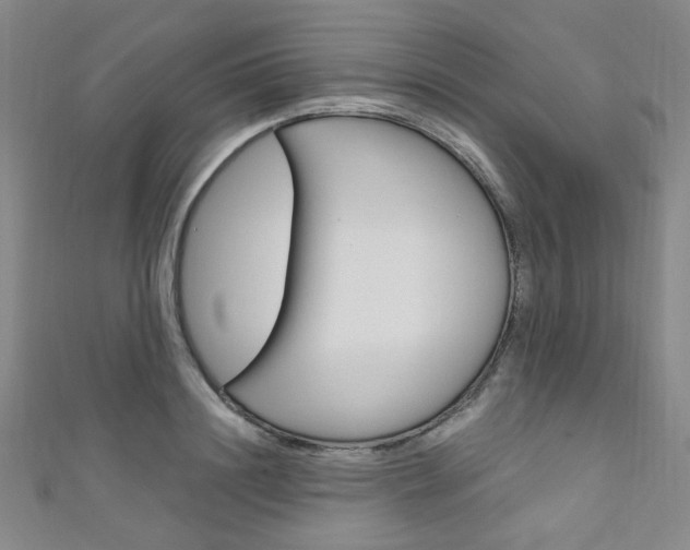 X0000111640844200907171036