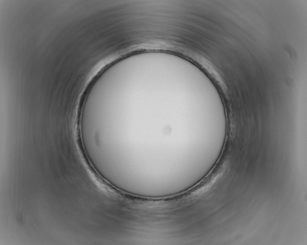 X0000111640845200907171036