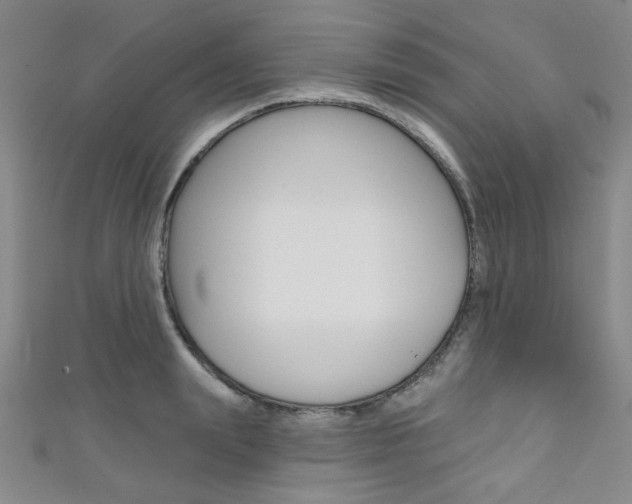 X0000111640847200907171037