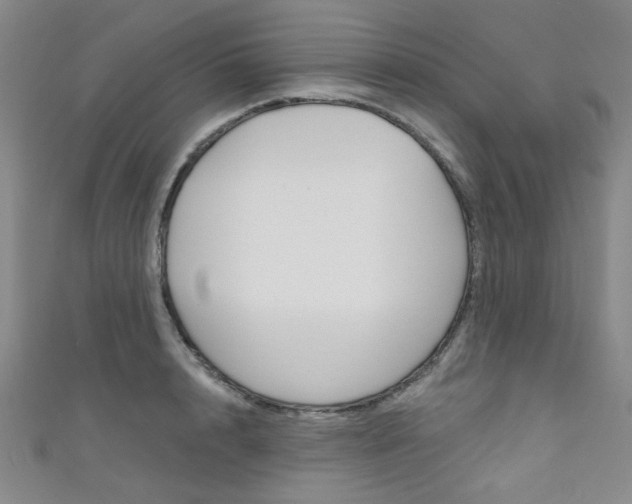 X0000111640848200907171037