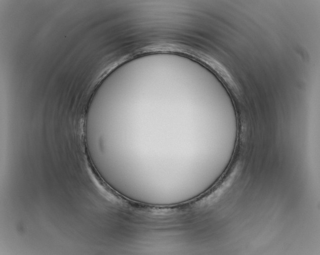 X0000111640849200907171037