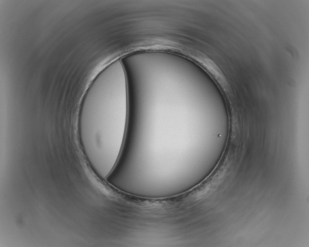 X0000111640850200907171037