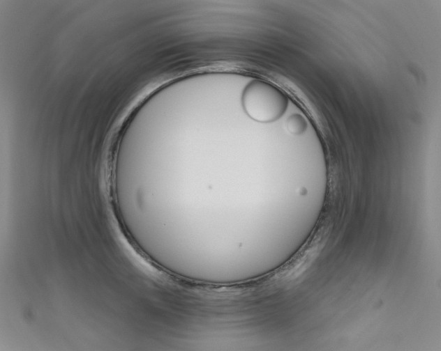 X0000111640851200907171037