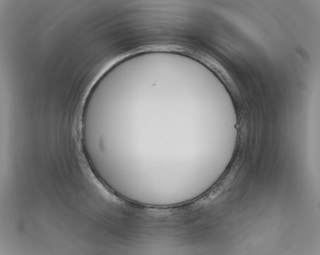 X0000111640852200907171037