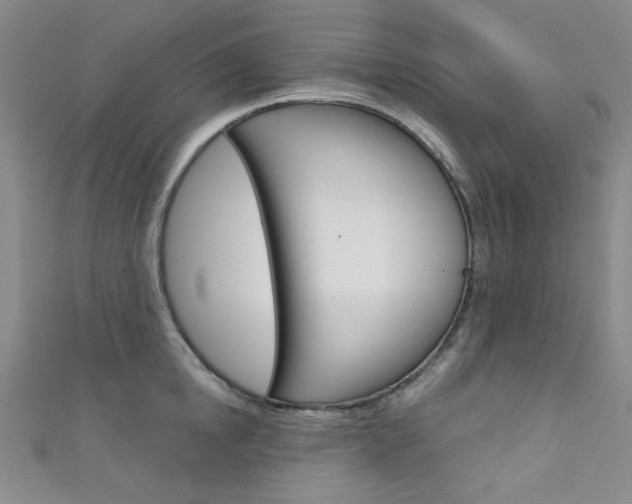X0000111640854200907171037