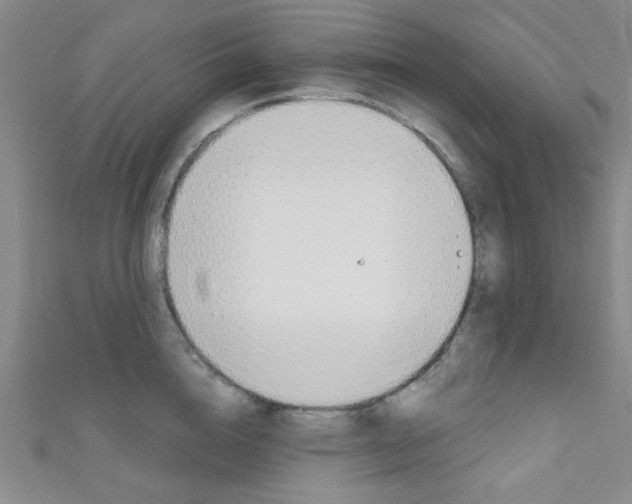 X0000111640856200907171037