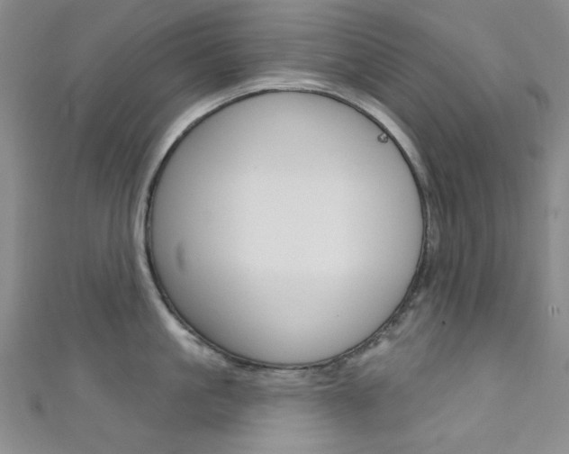X0000111640861200907171037