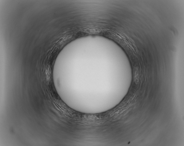X0000111640866200907171036