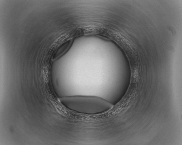 X0000111640868200907171036