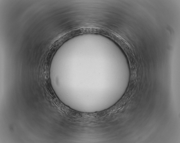 X0000111640870200907171036