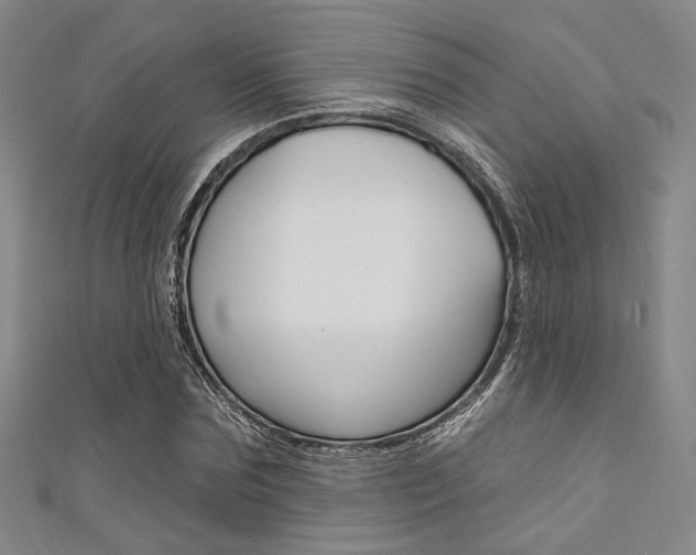 X0000111640875200907171036