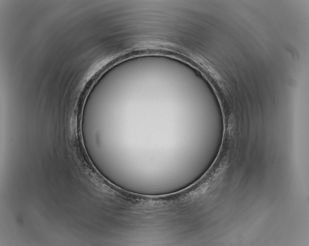 X0000111640877200907171036