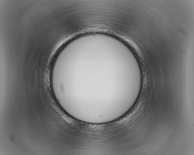 X0000111640878200907171036