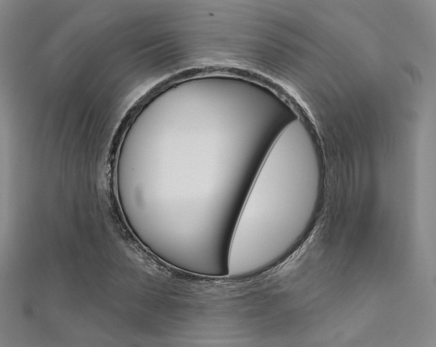 X0000111640879200907171036