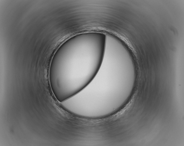 X0000111640881200907171036