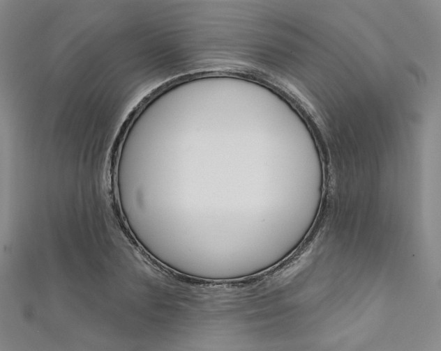 X0000111640883200907171036