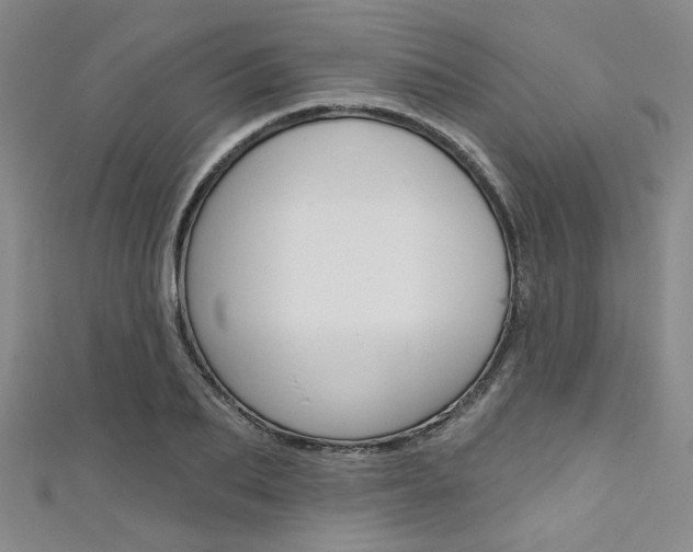 X0000111640887200907171036