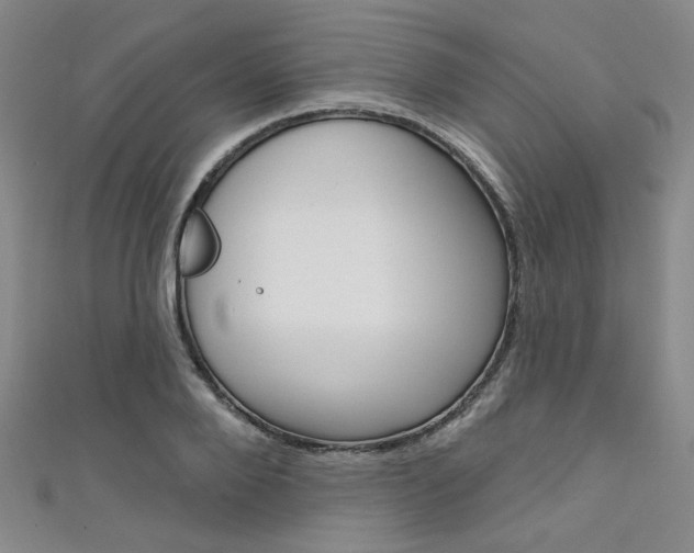 X0000111640888200907171036
