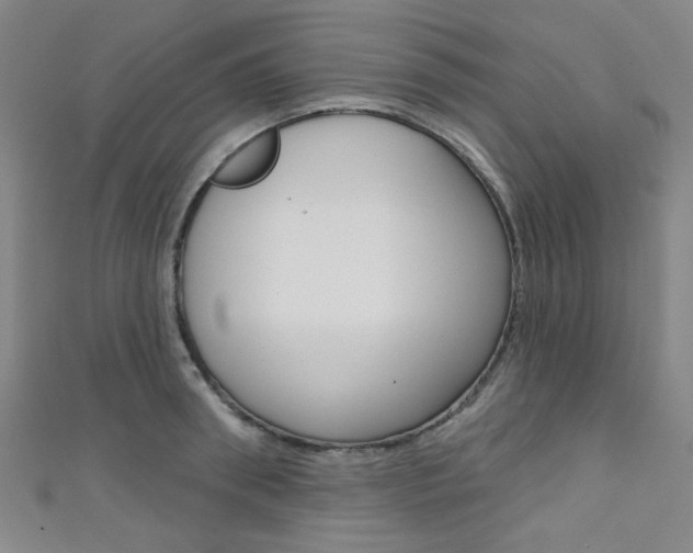 X0000111640898200907171036