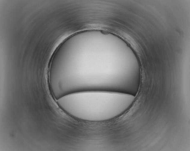 X0000111640899200907171036