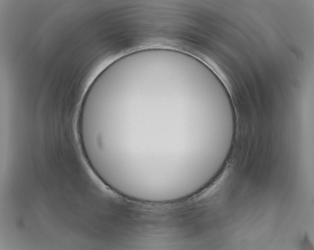 X0000111640901200907171036