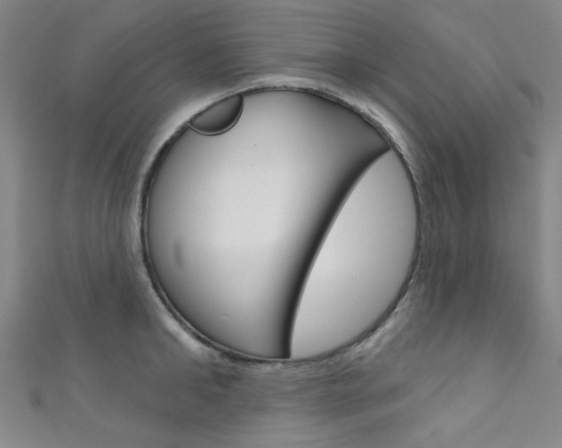 X0000111640902200907171036
