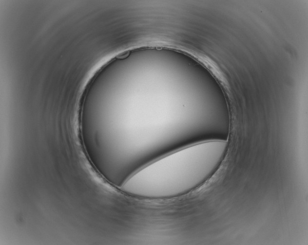 X0000111640904200907171036