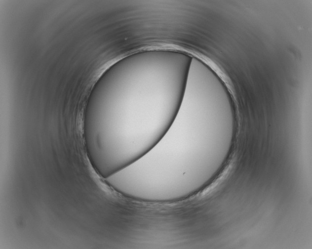 X0000111640905200907171036