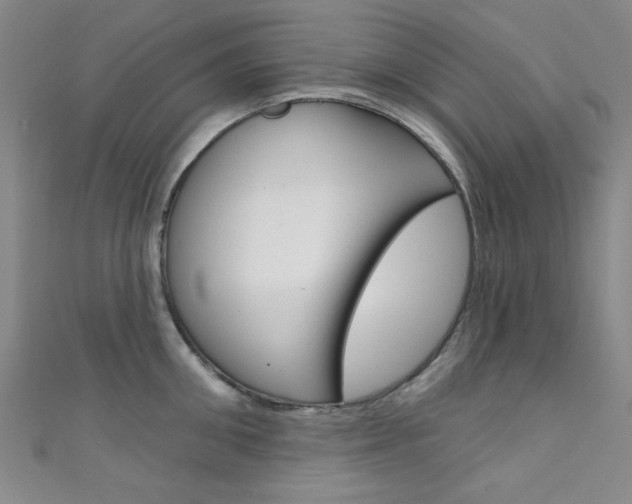 X0000111640906200907171036