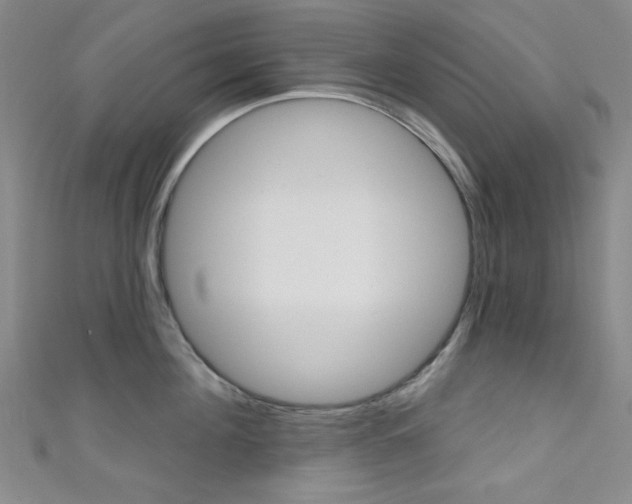X0000111640908200907171036