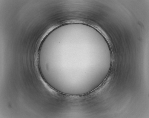 X0000111640909200907171036