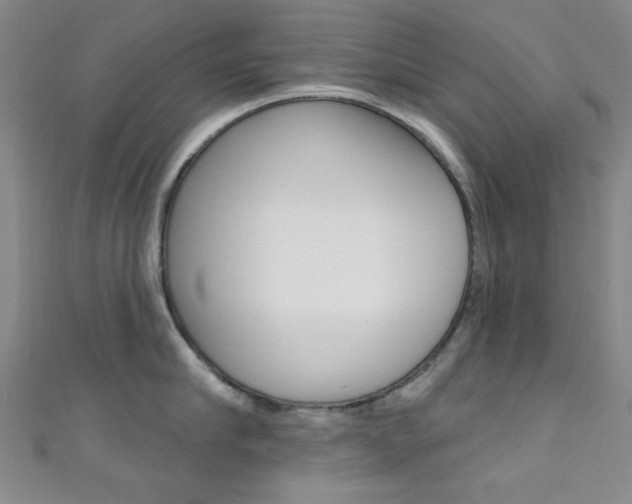 X0000111640910200907171036