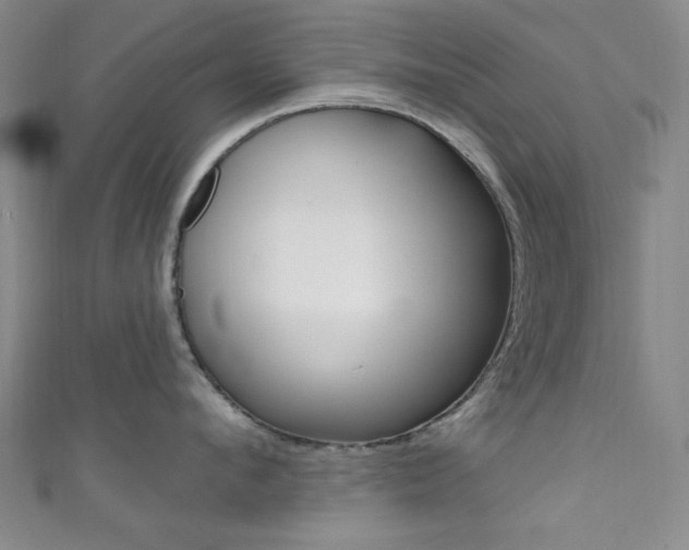 X0000111640912200907171036