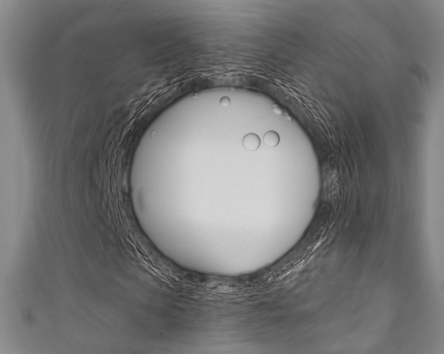 X0000111640913200907171035